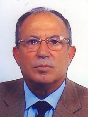 Gonzalo Miragall Niñerola 